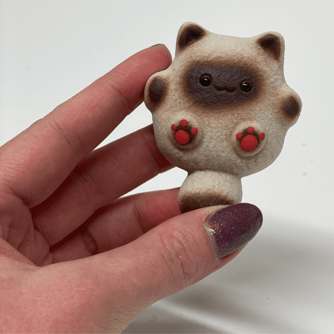 Hovedbilde Siamesisk pusekatt - Tea pet
